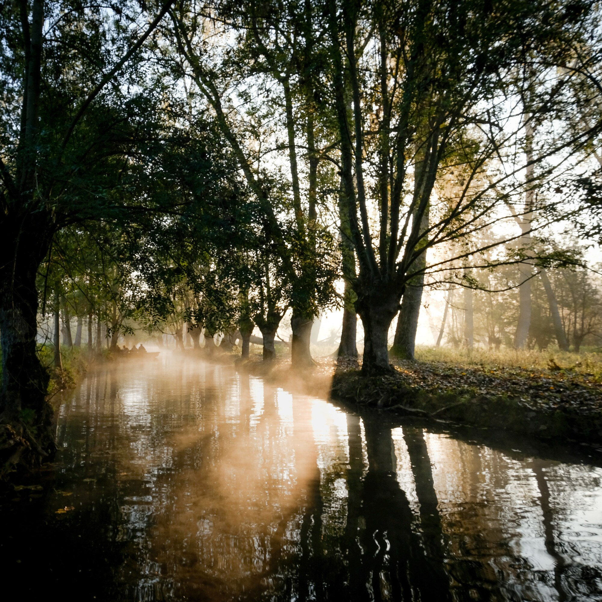 3b4c55e18c08c43fd44a091a8039f5bf